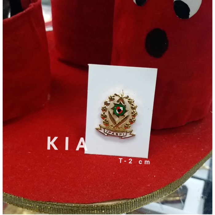 Pin Pin Ipaspi Maknet