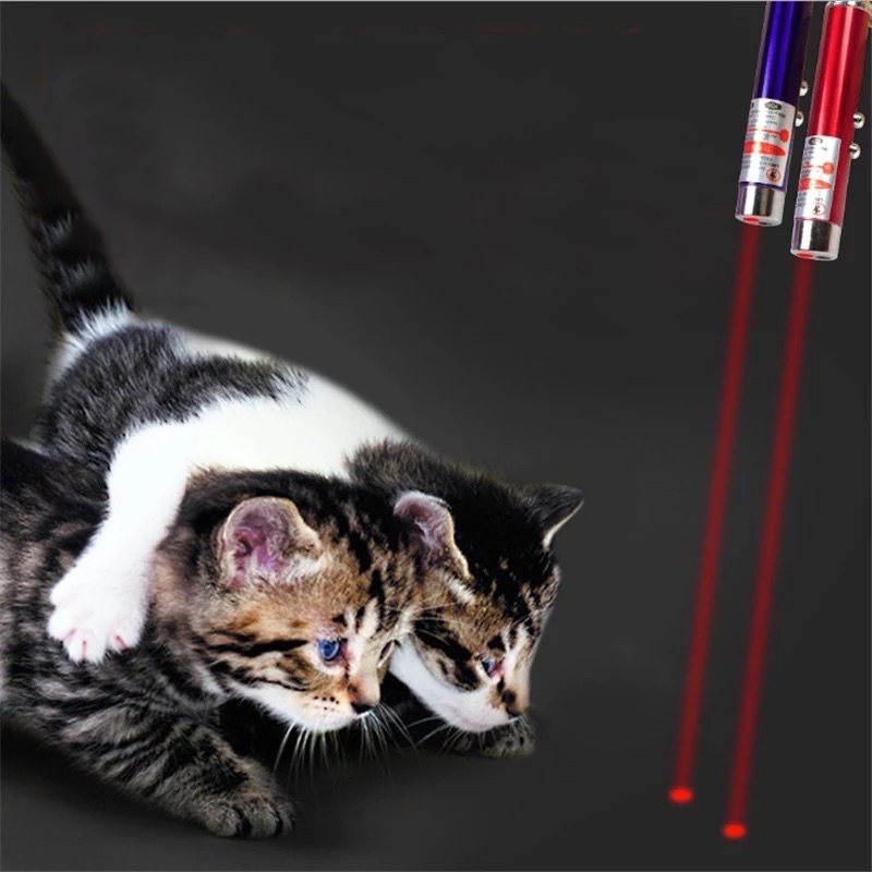 LASER MAINAN KUCING MEMBERI IMAJINASI BERBURU PADA KUCING CAT TOY