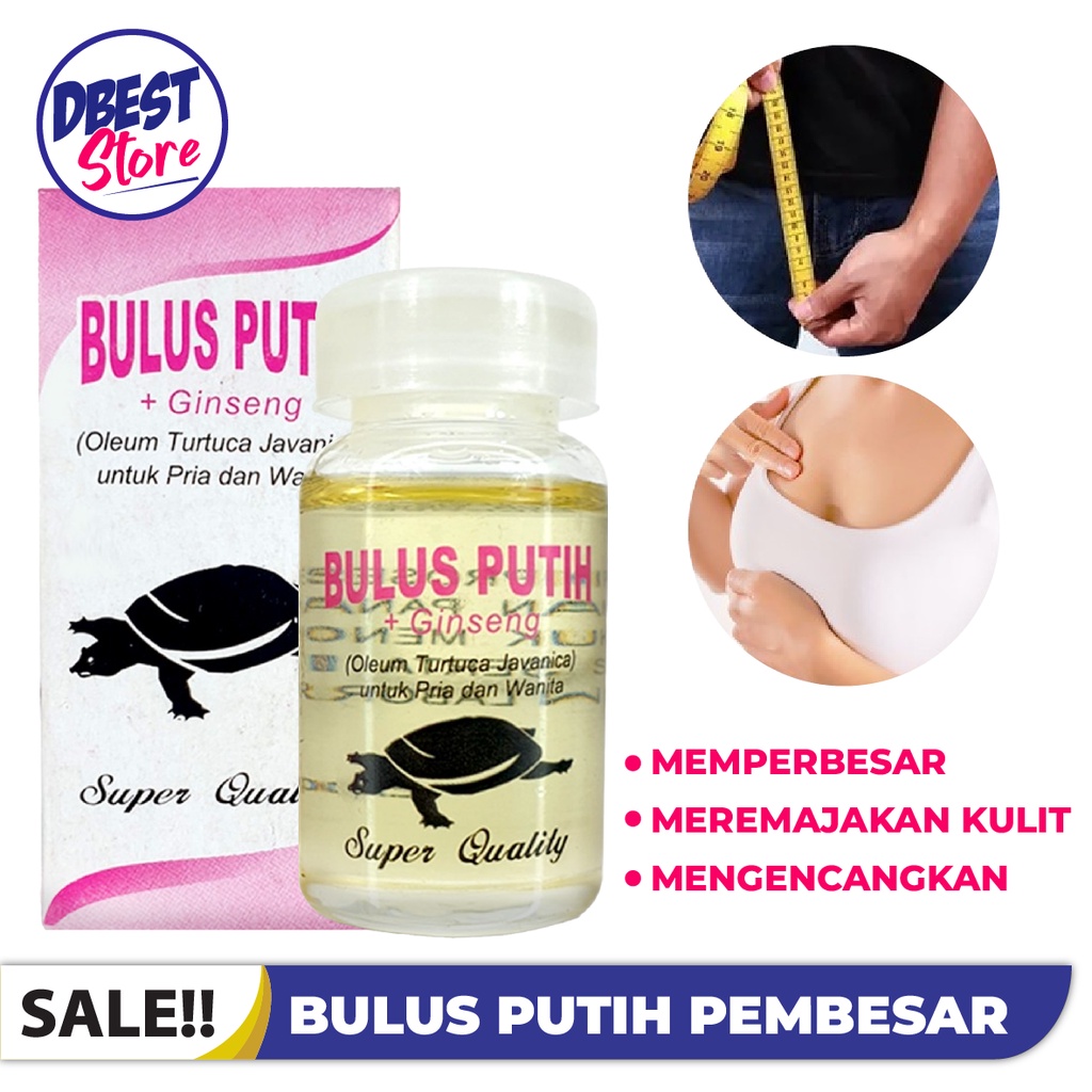 ( BISA COD ) Minyak Bulus Putih Eyang Laut