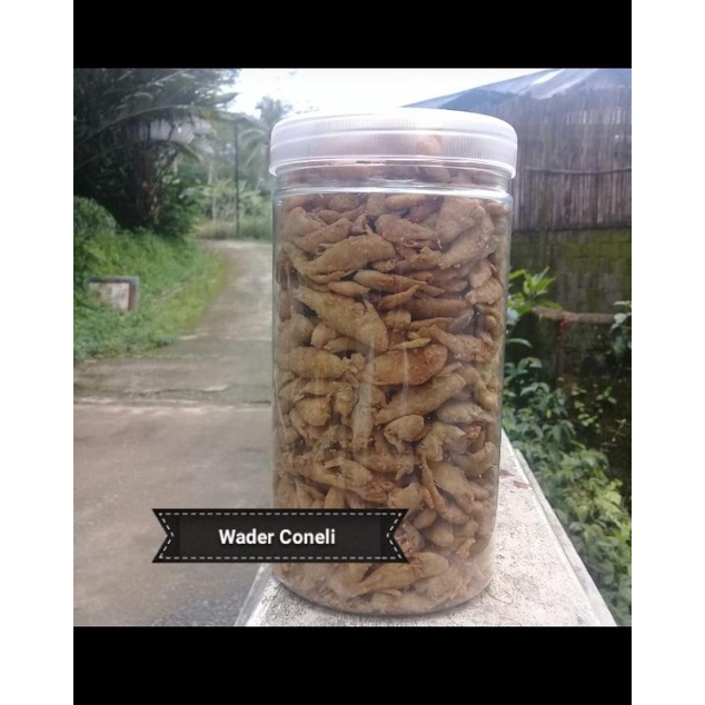 

IKAN WADER CONELI