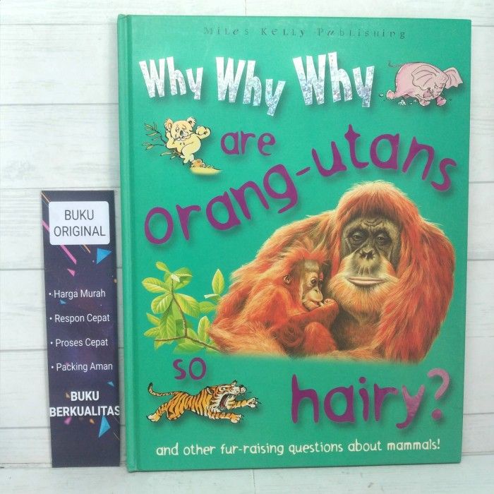 BUKU Why Why Why are Orang Utans Hairy