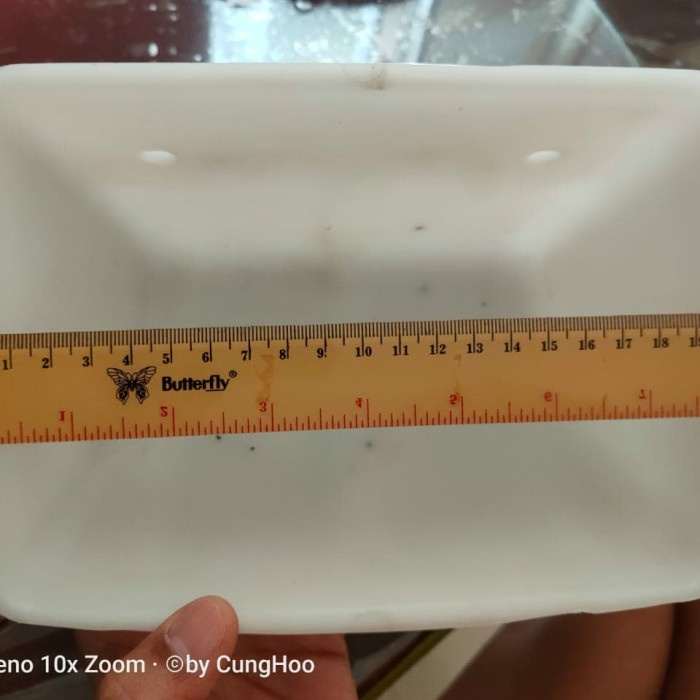 bucket elevator 8inch