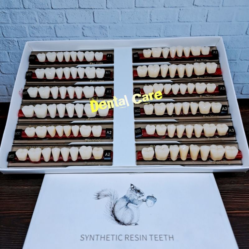 Gigi Palsu SYNTHETIC Geraham Bawah / Gigi Tiruan Geraham Bawah