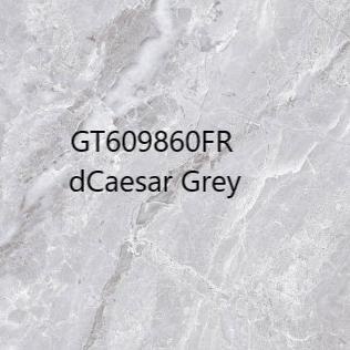 Granit Roman Lantai GT609860FR dCaesar grey 60x60 KW 1