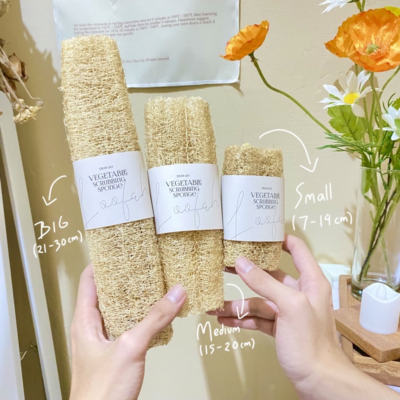 READY STOCK - Loofah Oyong Gambas Vegetable Scrubbing Sponge / Spons Natural Gambas Luffa Oyong Keri