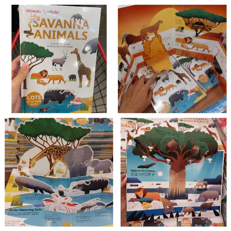 savanna animals ultimate spotlight pop up