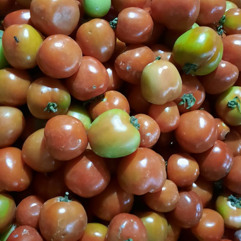 

Tomat besar segar 500gr