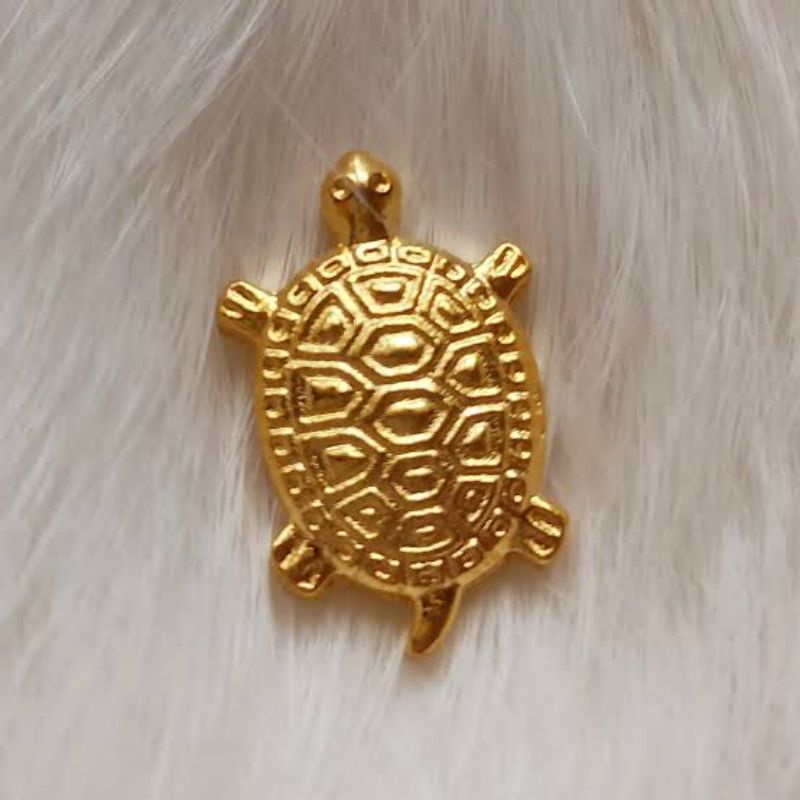 Kura-Kura Emas Pembawa Rejeki / Kura kura Fengshui / Kura kura keberuntungan - Kura-kura asakusa