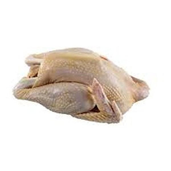 

FCW - AYAM KAMPUNG SEGAR 1 EKOR 600 Gram ++