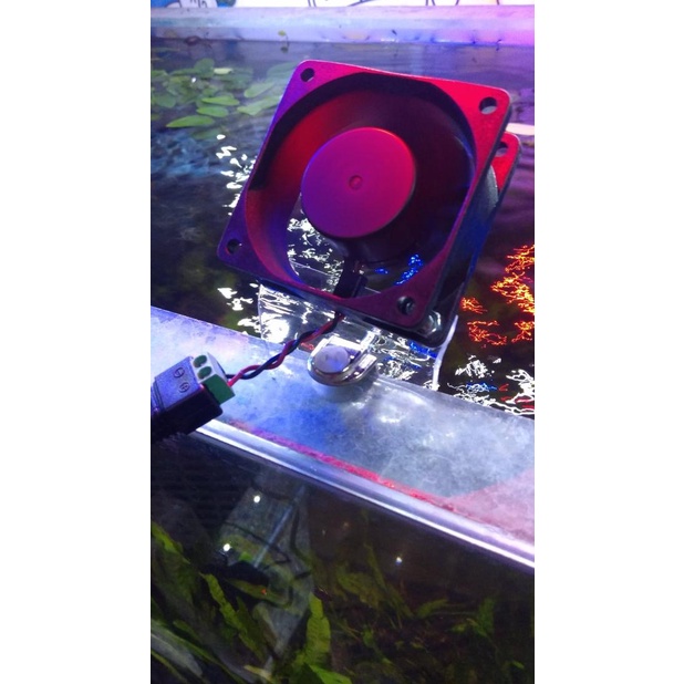 Aquascape & air laut fan mini speed
