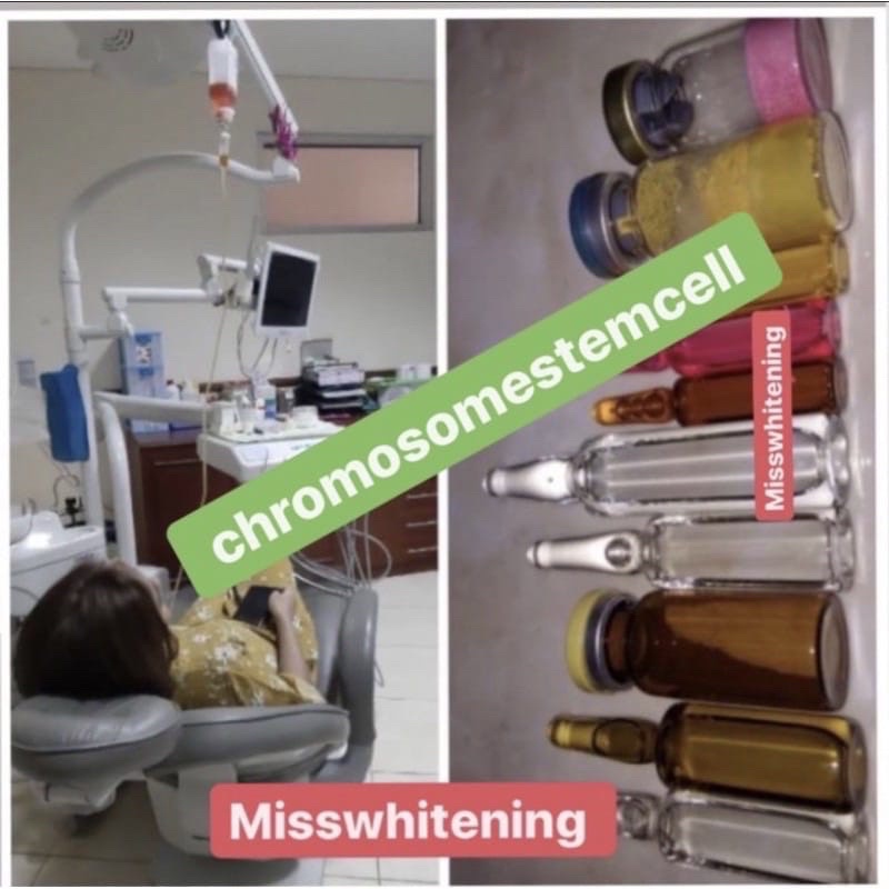 chromosome stemcell 15 obat saja