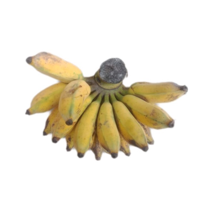 

BUAH PISANG RAJA BULU/RAJA UTER 1 SISIR