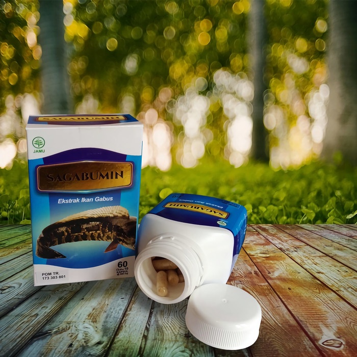 Kapsul Albumin Ekstrak ikan Gabus / Kutuk ( Protein ) Original