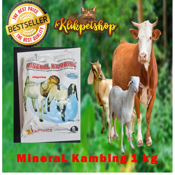 Mineral Kambing EKA FARMA Mempercepat Pertumbuhan Dan Tahan Terhadap Serangan Penyakit