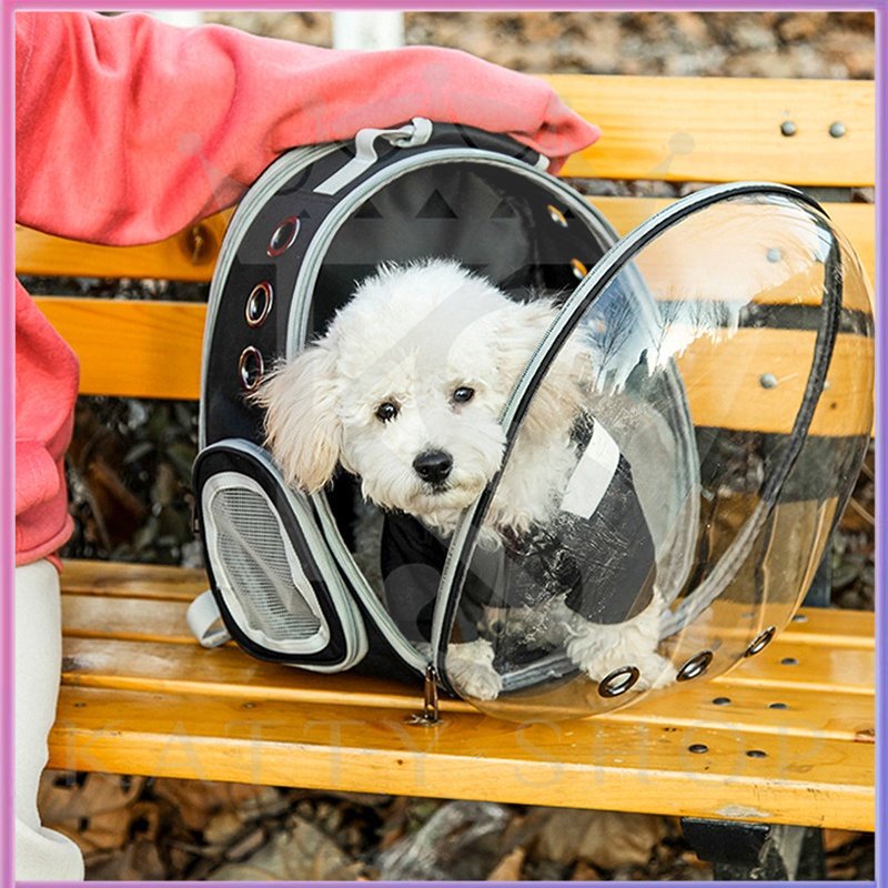 Tas hewan peliharaan yang transparan, tas transportasi kucing dan anjing, tipe nyaman dan tas backpack hewan peliharaan kucin