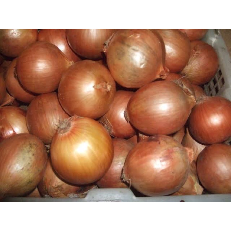 

bawang bombay