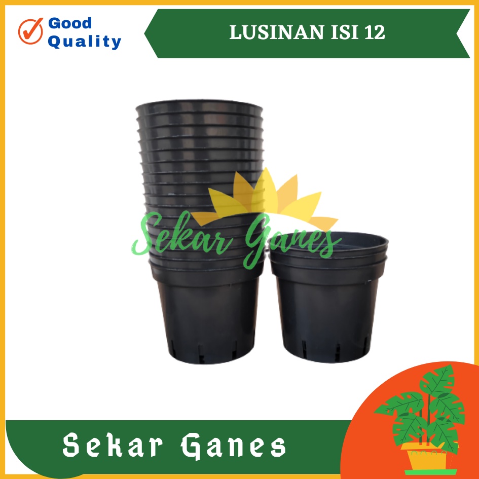 PAKETAN LUSINAN Pot Anggrek 17 Hitam Isi 12 Pcs TERMURAH GROSIR Pot Anggrek Lusinan Hitam Murah Termurah