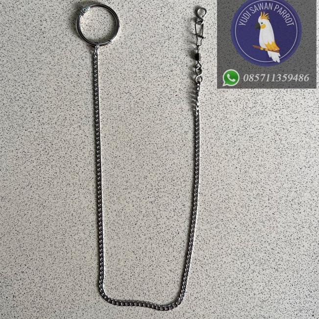 Rantai Rante Burung Falk Betet Sun Conure