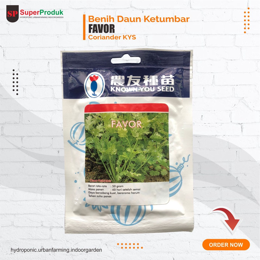 Benih Coriander Daun ketumbar Favor Known You Seed
