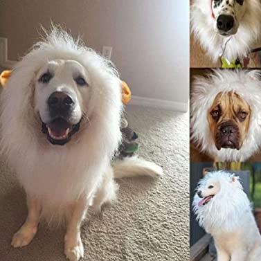 Dog Lion Wig kostum Size XL Wig Singa untuk kucing / Anjing BESAR - Putih