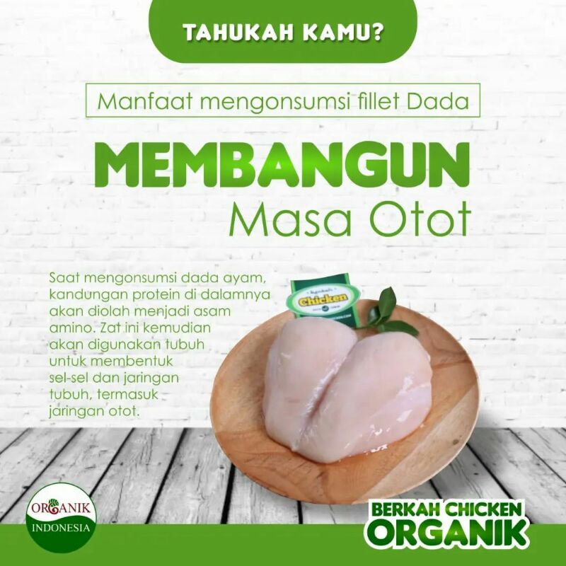 Organic Chicken Ayam Dada Fillet 1 Kg | Ayam Organik Probiotik Potong Bagian