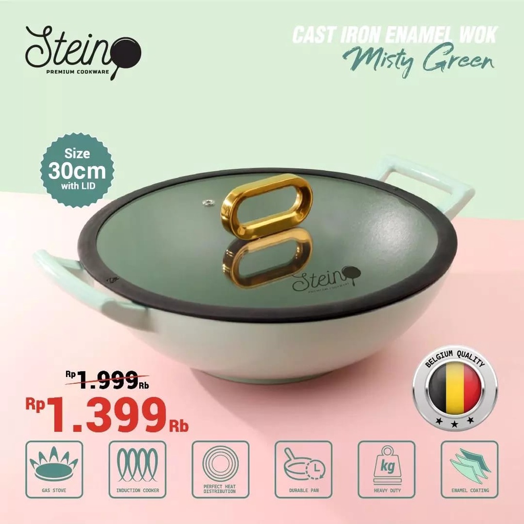 STEIN WOK CAST IRON ENAMEL MISTY GREEN FREE MOP QUEEN