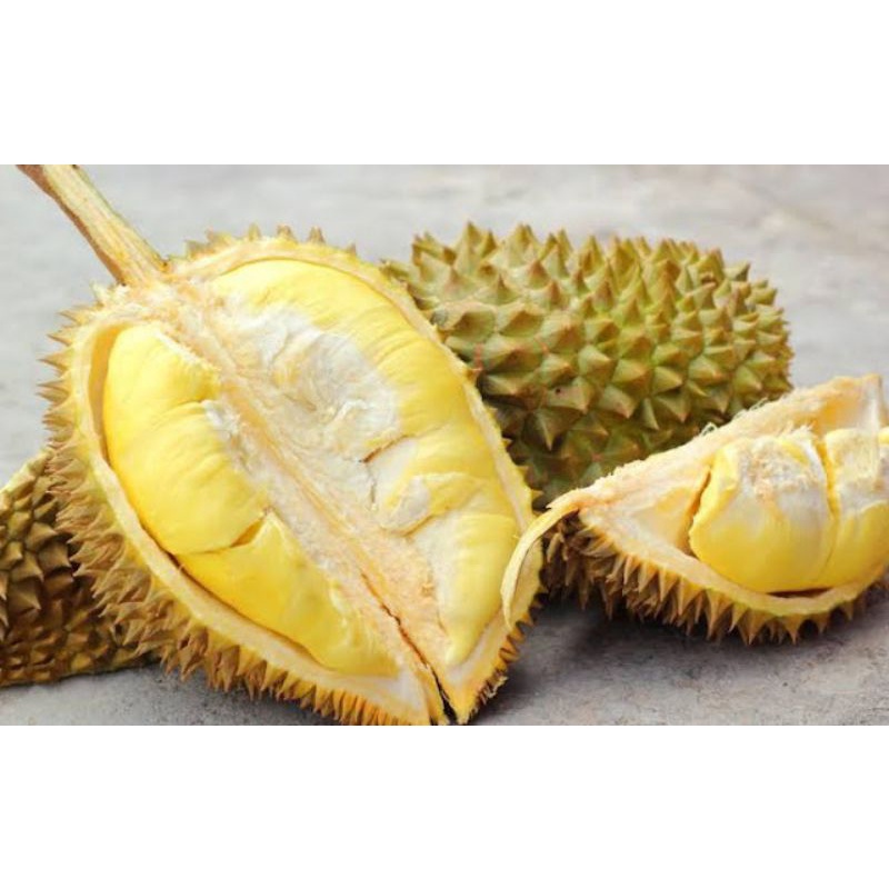 Harga Promo  Durian Montong Utuh Rp 65.000/Kg