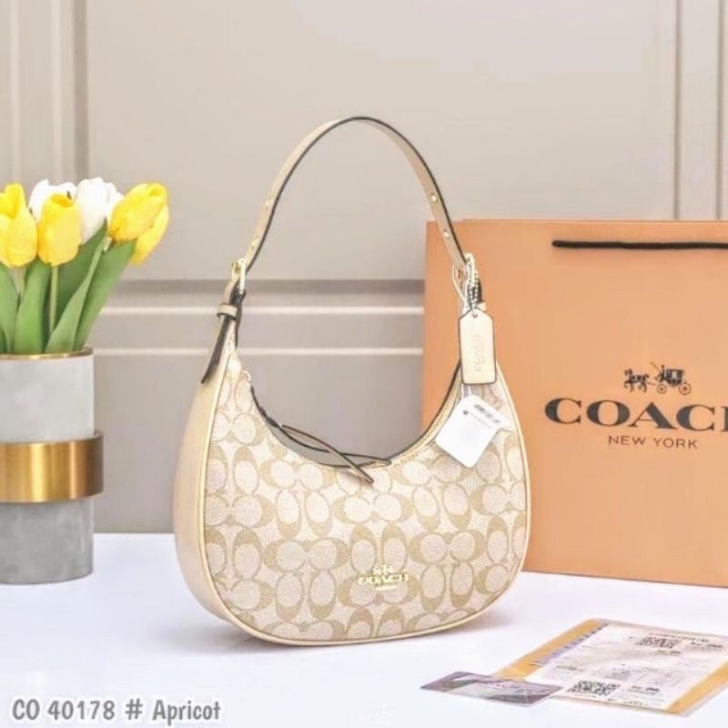 COACH Kleo Hobbo in Signature Canvas