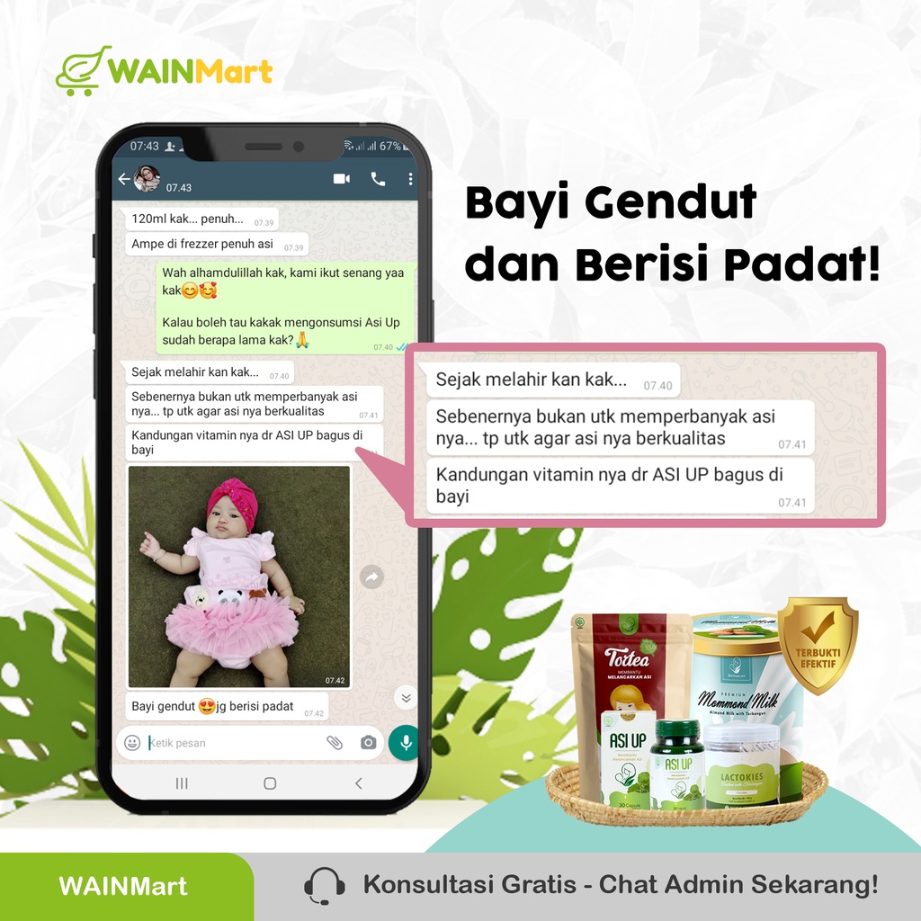 PROMO TERBATAS !!! ASI UP Suplemen Pelancar ASI Booster Torbangun Herbal Untuk Ibu Menyusui BPOM Asi Up Torbangun Original