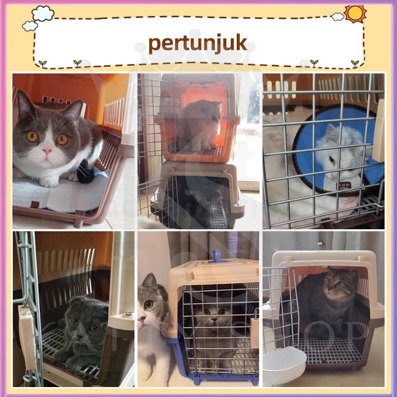 Kucing kandang portabel di luar / transportasi hewan peliharaan / kandang peliharaan peliharaan aviasi besar / kotak pengiriman kucing / persediaan peliharaan peliharaan portabel di luar