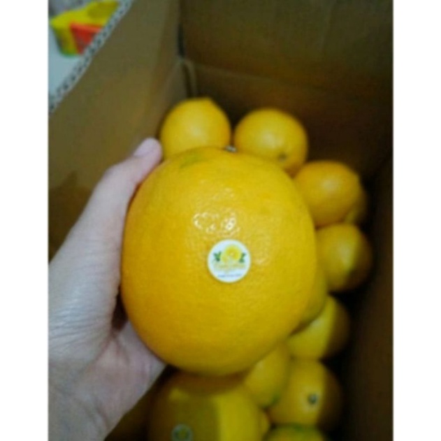 

BUAH LEMON CALIFORNIA SATU BUAH