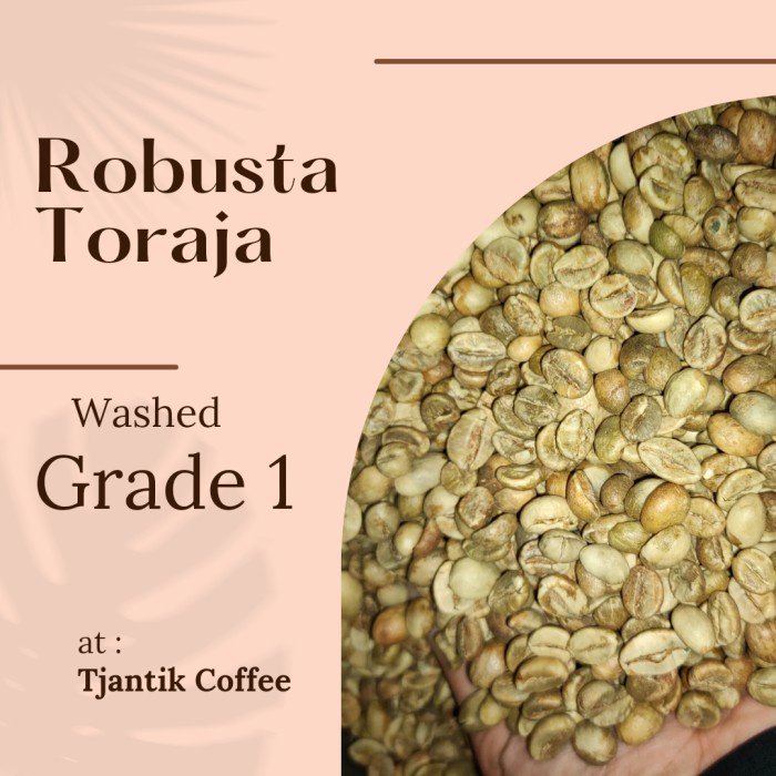 

TERLARIS Green Bean Robusta Toraja Washed G1 /KOPI RUBE/KOPI SLB/KOPI KAPAL API/KOPI RUBE