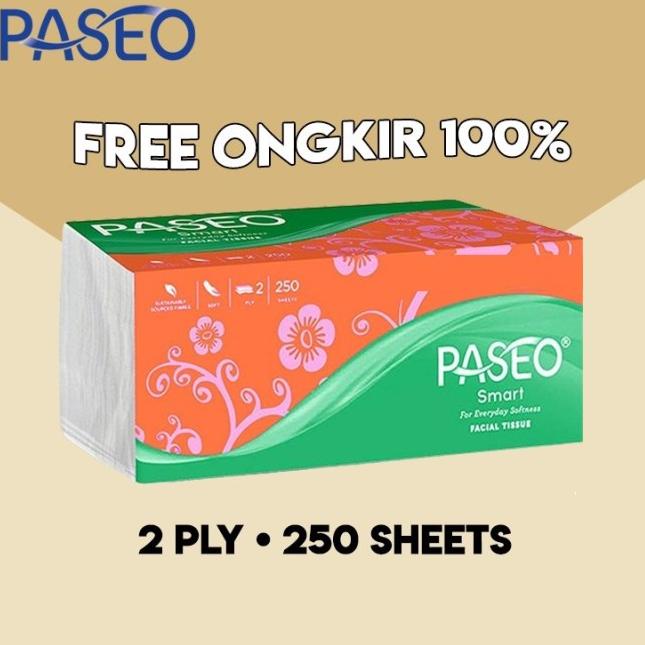 Tissue Tissu Tisu Passeo Paseo 250 gr Sheet - 2PLY