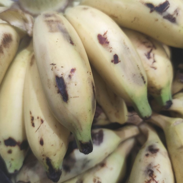 

pisang mas pisang kecil kecil unyil pasar online makassar