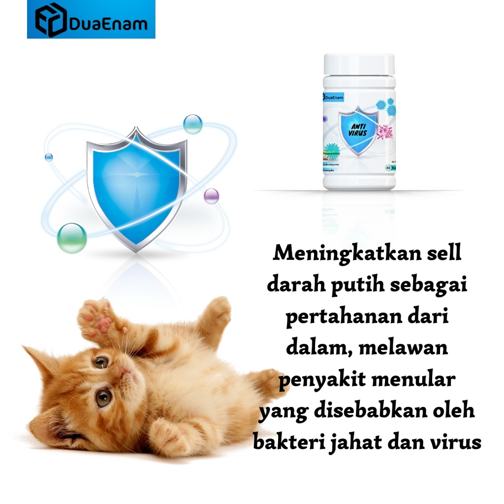 DUAENAM ANTI VIRUS FIP kucing