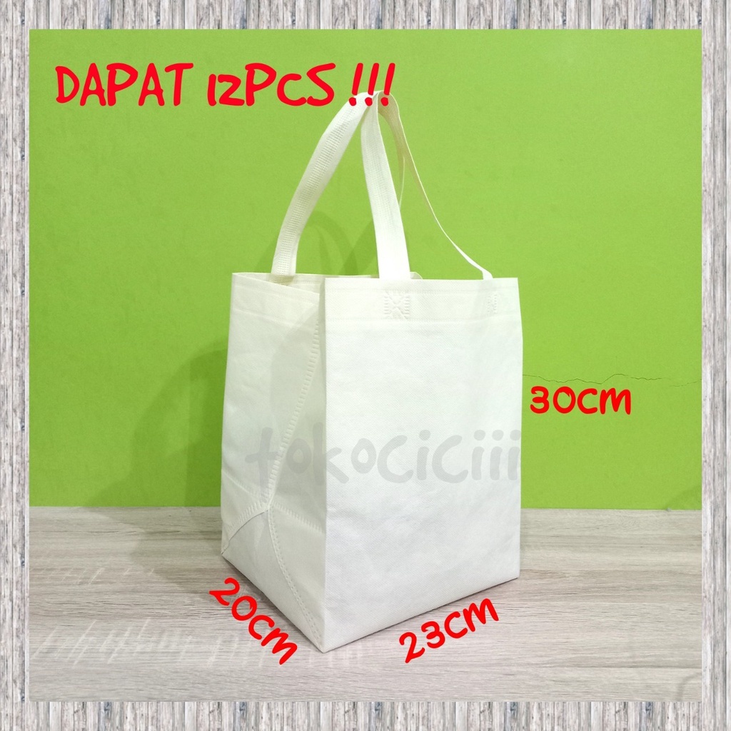 

12PCS Tas press 20x20 kantong spunbond tas Kain / Goodie Bag Polos Tas Souvenir / Kantong Souvenir / tas hajatan 20x23x30