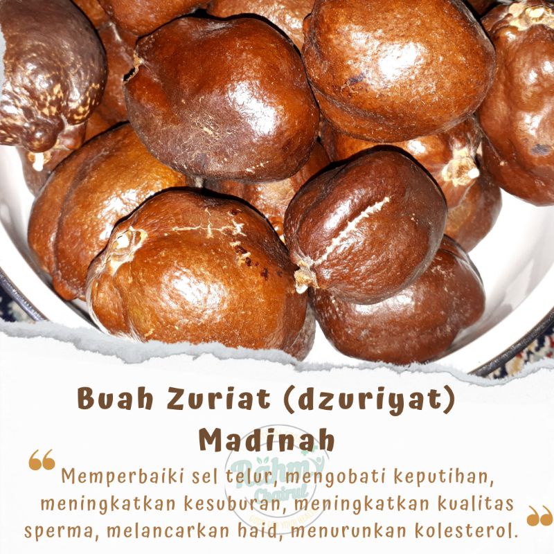 

1 kg Buah Dzuriat Single Madinah / Buah Zuriat / Buah Doum / Buah Adam Hawa / Buah Zuriyat Promil