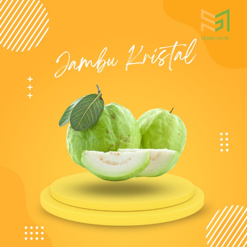 

Jambu cristal segar per pack