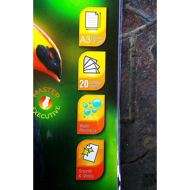 

Data Print Glossy Photo Paper 230 gsm A3 / DP-GP-230-A3 Dataprint