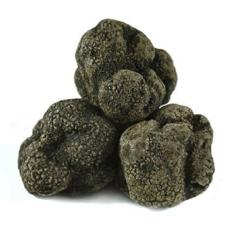 

Fresh Italian Whole Black Truffle Jamur Hitam Truffle Italy - 100gr