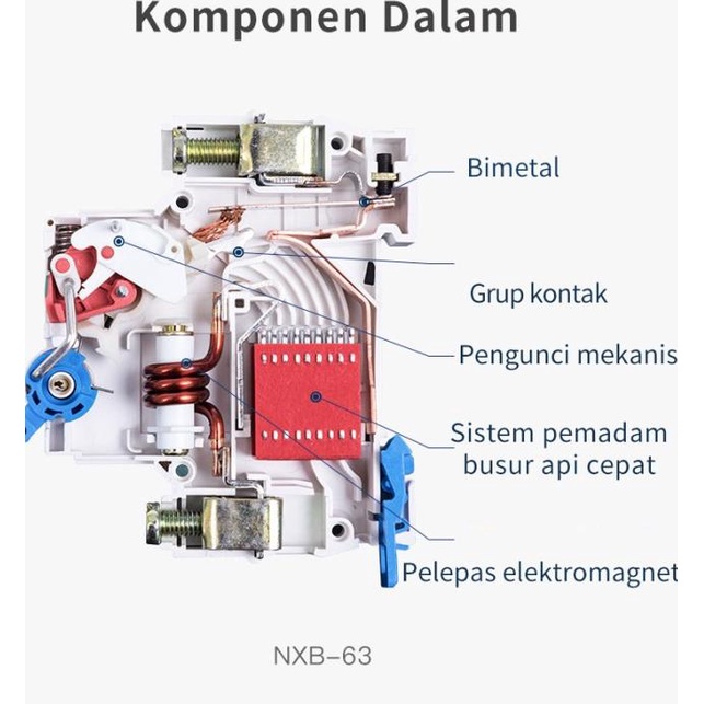 MCB Chint NXB 3P 6kA (1A 2A 4A 50A 63A) - 50A