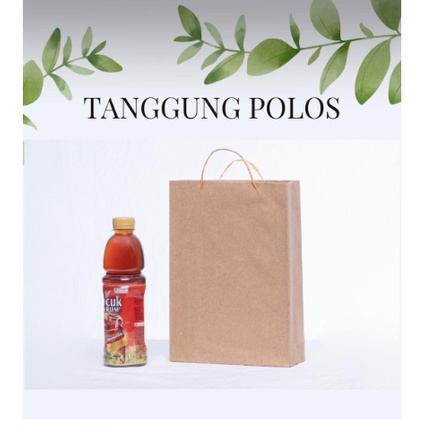 Jual Ecer Paper Bag Tanggung Polos Paperbag Tanggung Polos Tas Kertas Tanggung Polos