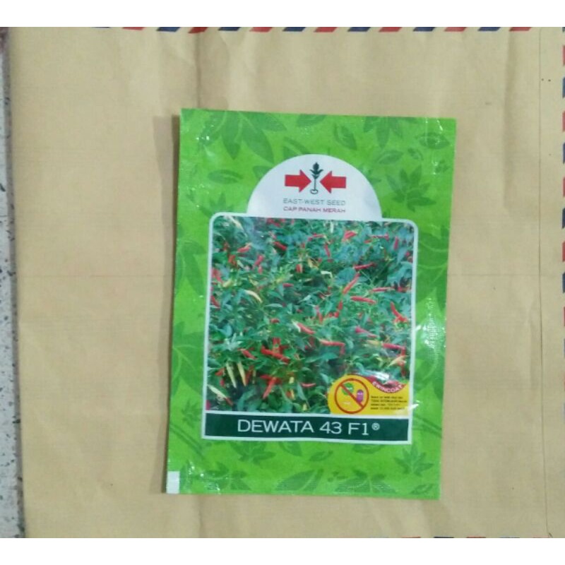 Benih cabe rawit DEWATA F1 Benih cabe 2250 butir Hibrida panah merah 10gram
