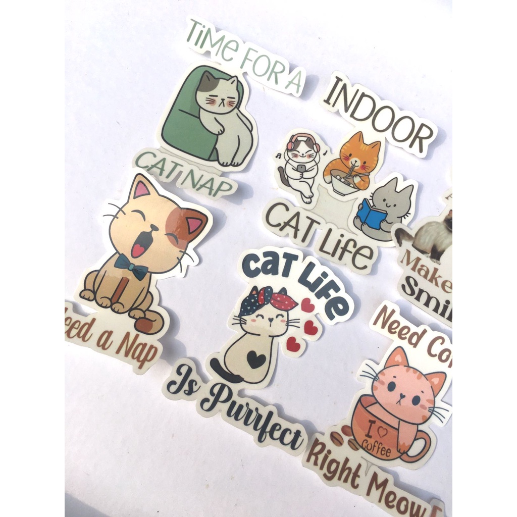 

STARLY - STIKER KUCING /KUCING LUCU STIKER/ STIKER MEOWW//MEOWW/MEOWW