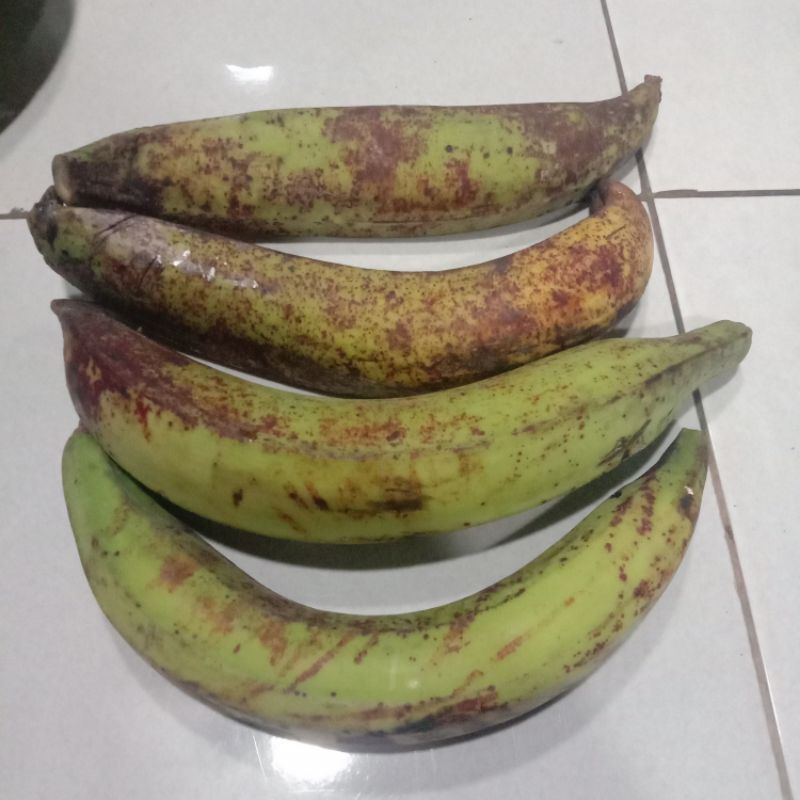 

Pisang Tanduk Super 1Buah Posang Tanduk Mentah