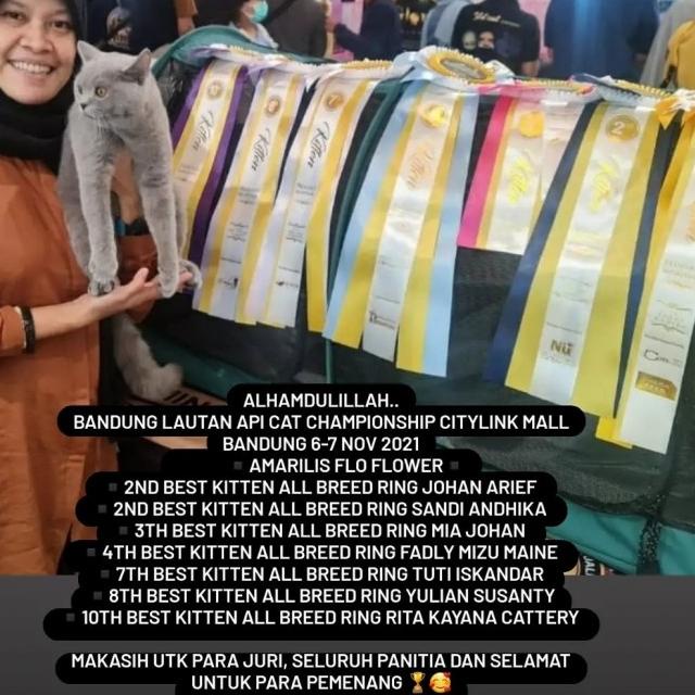 CAT RAW FOOD PUYUH GILING