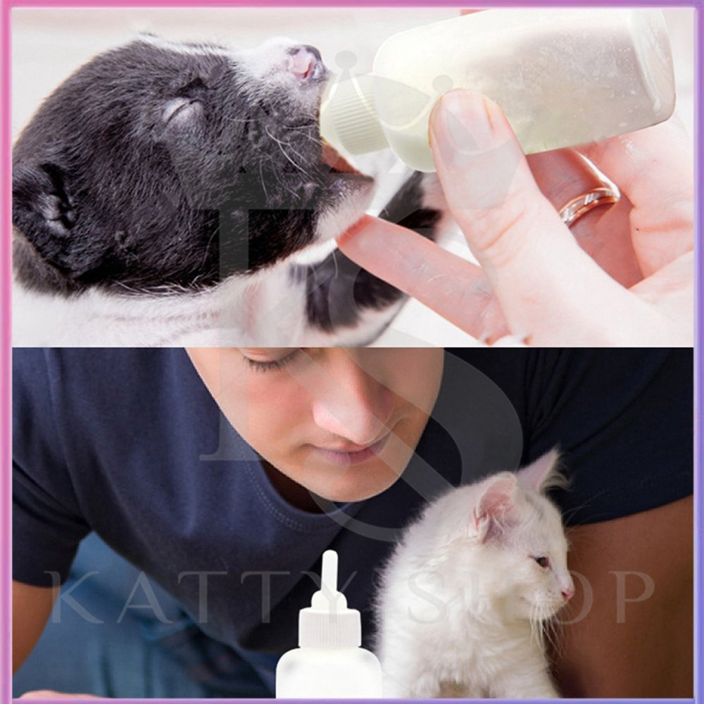 Cat and dog feeding bottle 60ML pet water and drink equipment