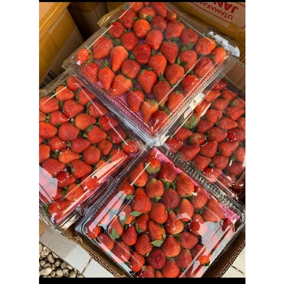 

PROMO STRAWBERRY FRESH PERPACK BERAT KULEB 1KG