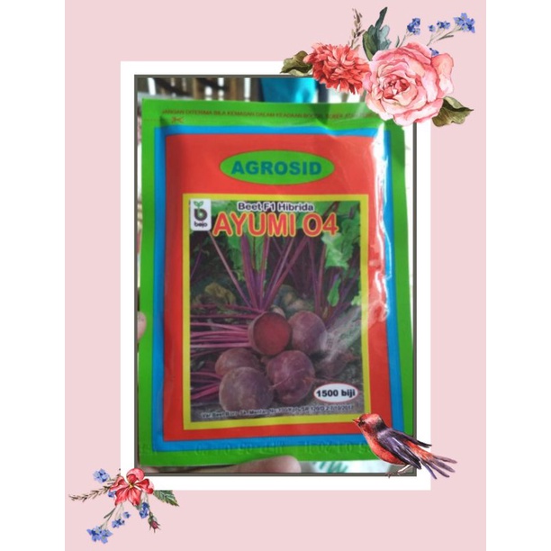 BIBIT BUAH BIT AYUMI F1 AGROSID ISI 100-+