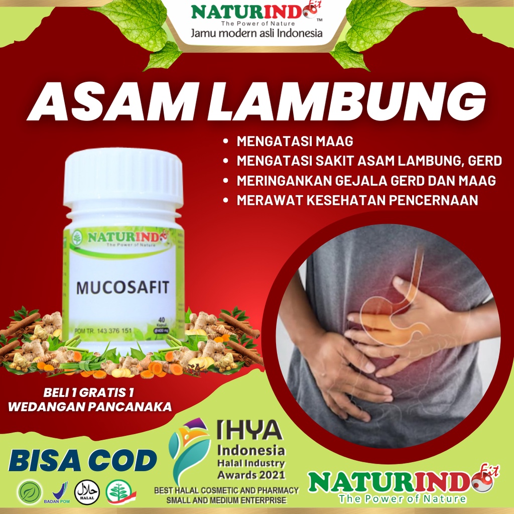 Jual Obat Asam Lambung Ampuh Maag Gerd Masuk Angin Kronis Herbal Paling Ampuh Asam Lambung Maag 5351